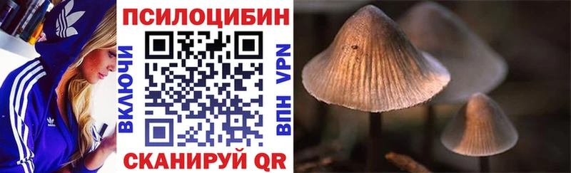ссылка на мегу рабочий сайт  Беслан  Псилоцибиновые грибы Psilocybine cubensis 